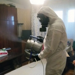Дезинфекция от клопов в Жердевке