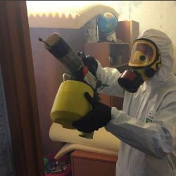 Уничтожение клопов в квартире. Жердевка